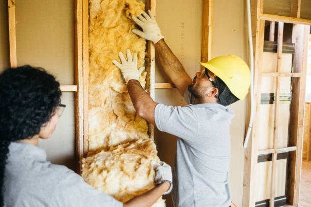 Insulation Contractors for Homes in Channel Islands Beach, CA